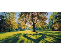 Diamond Painting Kit Adulte,Diamant Painting Adulte Images Ronde Diamond Peinture Diamant, Abstrait Amour 5D DIY Point de Croix Cristal Débutant Art Set pour Décoration Murale Maison 25x50cm J0K-641