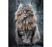 Diamond Painting Kit Complet Diamant 5D DIY Peinture Adulte Chat Maine Coon Round Drill 30x40cm Artisanat Strass Broderie Painting pour Murale Décoration Strass Point de Croix Painting Enfant Débutant