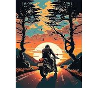 Diamond Painting Kit Complet Diamant 5D DIY Peinture pour Adultes Moto Square Drill 45x60cm Artisanat Strass Broderie Painting pour Murale Décoration Strass Point de Croix Painting Enfant Débutant