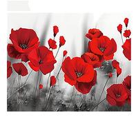 Diamond Painting Kit Complet,Diamant Peinture Numero Adulte,Broderie Diamant 5D,Enfant Point De Croix Strass Perle Art pour la Décoration à la Maison/Salon/Chambre Gifts Coquelicot 30x40cm