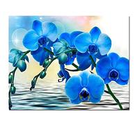 Diamond Painting Kit Complet,Diamant Peinture Numero Adulte,Broderie Diamant 5D,Enfant Point De Croix Strass Perle Art pour la Décoration à la Maison/Salon/Chambre Gifts Orchidée bleue 30x40cm