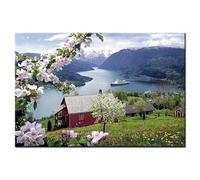 Diamond Painting kit Complet,DIY 5D Diamant Peinture Kit Forage Complet,Diamond Painting Strass Broderie Diamant Peinture pour Home Décoration Murale Norvège Fjord Paysage naturel Square drill,25x45cm