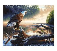 Diamond Painting Kit Eagle Landscape 5D DIY Broderie Diamant Peinture Diamant pour Adultes Enfants Complet Cristal Strass Point de Croix pour salon chambre Décor murale Round Drill_40x60cm(16x24in)