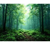 Diamond Painting La forêt verte Peinture Diamant Adulte, 5D Diamant Painting Kit Complet, DIY Diamond Art Point de Croix Painting pour Adultes Débutants Maison Décoration, Noël Cadeaux 80x60cm B-9413