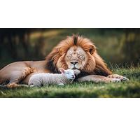 Diamond Painting Le Lion XXL DIY Diamond Painting Grand Format 90x180cm Adulte Activité Manuelle 5D Moutons Diamant Loisirs Créatifs Broderie Diamant Complet Artisanat AccessoiresDécor Murale f-509