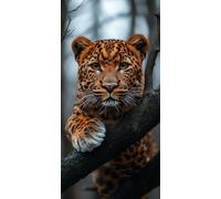 Diamond Painting LéOpard 5D Diamond Painting Adulte Grand Format Animal Kit Broderie Diamant Kit Complet Rond Loisirs Créatifs Adultes Peinture Diamant Point de Croix Peinture, Cadeau 40x80cm I-YC77