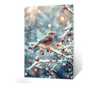 Diamond Painting Moineau Diamant Painting Neige 5D DIY Full Drill Broderie Diamant Kit Complet, Diamond Paintings Petit Format pour Adultes Débutants, Activité Manuelle, Décoration Noel 35x45cm I0-269