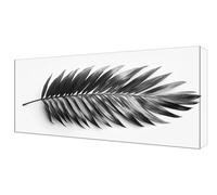 Diamond Painting Noir Plume DIY Full Drill Diamond Painting Enfant, Large Peinture Diamant Adulte Kit Complet, Broderie Point Croix Diamant Arts Craft Kit, Décoratio Murale D'intérieur 30x60cm J-211