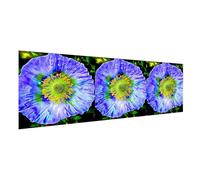 Diamond Painting Orchidée Diamond Painting Adulte Grand Format 210x70cm, 5D Peinture Diamant Fleur Broderie Diamant Kit Complet, DIY Broderie Point de Croix Paintings, Decoration Murale Cadeau 2Y-937