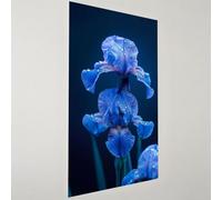 Diamond Painting Orchidée Diamond Painting Adulte Grand Format 80x160cm,5D Peinture Diamant Usine Broderie Diamant Kit Complet,DIY Broderie Point de Croix Activité Manuelle,Decoration Murale G2-1069