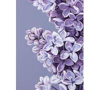 Diamond Painting Orchidée DIY Peinture Diamant Adulte,5D Diamond Art Kit Enfants Complet Strass Cristal Point Croix Broderie Peinture canevas pour Cadeau Femme, Murale Décoration 50x70cm Usine Z1-285