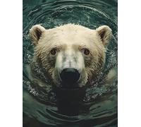 Diamond Painting Ours Blanc Diamond Painting Adulte Grand Format Sea Activité Manuelle Adulte Kit Broderie 5D Diamant Canevas Kit Complet Carré, Diamant Point de Croix Peinture, Cadeau 50x80cm I-P605N