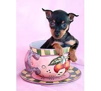 Diamond Painting par Numéros Kits Chien de tasse de thé,5D DIY Diamant Peinture Complet Cristal Strass Broderie Point de Croix Mosaïque Toile Art Crafts Salon Chambre Décor Murale Square Drill 30x40cm