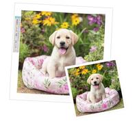 Diamond Painting Personalizzato,Diamond Painting Adulte 15x15cm Foto Personalizzata idea regalo,DIY Disegni con Perline da Attaccare,Broderie Diamant Kit Completo Per la Decor di Arte Domestica f-61