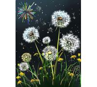 Diamond Painting Pissenlit DIY Peinture Diamant Adulte,5D Diamond Art Kit Enfants Complet Strass Cristal Point Croix Broderie Peinture pour Cadeau Femme, Murale Décoration 30x40cm Feux artifice Z1-619