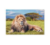 Diamond Painting Point De Croix Diamant Broderie,Grand Lion couché sur l'herbe de la Savane. Kenya, Afrique,Motifs Complet DIY 5D Diamant Rond Peinture Strass Mosaïque Décoration(40x50cm)-D35