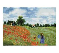 Diamond Painting Poppy Fields (APRÈS MONET) Diamond Dotz DD12048 DD intermédiaire G