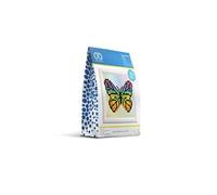 Diamond Painting Rainbow Butterfly Con Marco - Blanco DD1031F DD débutant