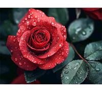 Diamond Painting Rose Peinture Diamant Adulte Fleur Diamond Painting Kit Complet, 5D Broderie Diamant Canevas Kit, DIY Strass Point de Croix Art pour Decoration Mural, Cadeau Femme 90x70cm E0-830