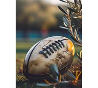 Diamond Painting Rugby, 5D Diamond Painting Kits Adulte Enfants, DIY Débutant Diamant Strass Point de Croix Cristal Painting pour Maison Murale Décoration, Femmes Cadeaux pour les fêtes 40x50 cm S-223