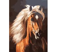 Diamond Painting Set, tableau avec motif cheval et accessoires, taille env. 25 x 35 cm, set de bricolage pour peindre avec des pierres scintillantes pour les enfants à partir de 5 ans