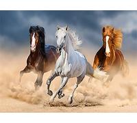 Diamond Painting Set, tableau avec motif Chevaux au galop et accessoires, taille env. 44 x 33 cm, set de bricolage pour peindre avec des pierres scintillantes pour les enfants à partir de 5 ans