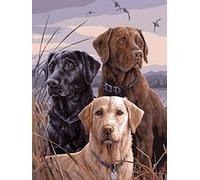 Diamond Painting Set, tableau avec motif chiens et accessoires, dimensions env. 35 x 25 cm, set de bricolage pour peindre avec des pierres scintillantes pour enfants à partir de 5 ans