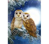 Diamond Painting Set, tableau avec motif chouettes et accessoires, taille env. 33 x 44 cm, set de bricolage pour peindre avec des pierres scintillantes pour les enfants à partir de 5 ans