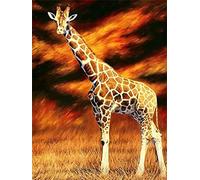 Diamond Painting Set, tableau avec motif girafe et accessoires, taille env. 25 x 35 cm, set de bricolage pour peindre avec des pierres scintillantes pour les enfants à partir de 5 ans