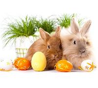 Diamond Painting Set, tableau avec motif lapin de Pâques et accessoires, taille env. 44 x 33 cm, set de bricolage pour peindre avec des pierres scintillantes pour enfants à partir de 5 ans
