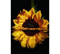 Diamond Painting Set, tableau avec motif tournesol et accessoires, dimensions env. 25 x 35 cm, set de bricolage pour peindre avec des pierres scintillantes pour les enfants à partir de 5 ans