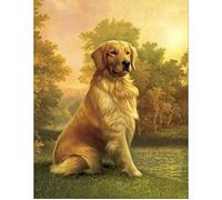 Diamond Painting Square Drill 40x50 cm Diamant Carré Painting Grand Format Adulte Chien Peinture diamant Chien Golden Retriever Peinture par Numéros Chiens Craft Buddy Crystal Point de Croix Animaux
