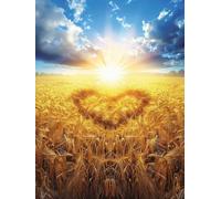 Diamond Painting Terres Agricoles Diamond Painting Adulte Soleil, Peinture Diamant, Tableau Diamant Adulte Enfant Bricolage 5D Carré Strass Broderie Artisanat Kits Murale Décoration 50x70cm 7-4184