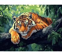 Diamond Painting Tigre, Diamond Painting Enfant Animal, 5D Bricolage Kit Broderie Loisirs Créatifs Adultes, Peinture Diamant Enfant Débutants, Point de Croix pour Murale Décor Cadeaux 20x30cm C4-238