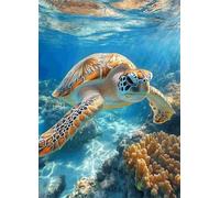 Diamond Painting Tortues de Mer Peinture Diamant Animal Diamond Painting Adulte 5D DIY Broderie Diamant Point de Croix Cristal Strass Loisirs Créatifs Adultes pour Decoration 35x50 CM -bby250720
