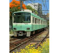 Diamond Painting Train, 5D Diamond Painting Adulte Planter, DIY Activité Manuelle Adulte, 5D Diamant Point de Croix Kits, DIY Peinture Diamant Enfant Kits, Decoration Murale, Cadeau, 30x40cm Q-7430