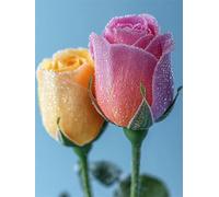 Diamond Painting Tulipe, Fleurs Diamond Painting Adulte, 5D DIY Cristal Strass Point de Croix Peinture Sets, Peinture Diamant Kit Complet Enfant, pour comme Cadeau femmes décoratif 40x50cm 0U-742