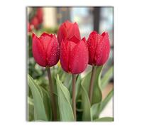 Diamond Painting Usine Fleurs fraîches, Kit Diamond Painting Art Creatif Adulte, 5D Strass Peinture Diamant Kit, DIY Broderie pour Activité Manuelle Adulte, Tableau Decoration Murale 50x70cm P-q-10447