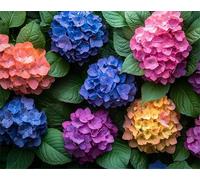 Diamond Painting Usine Peinture Diamant Adulte Hortensia Kit DIY de Diamond Painting 5D Complet, Activité Manuelle Adulte, Kit d'Art Diamant pour Enfant Décoration Murale pour Maison 60x80cm 0a-1993