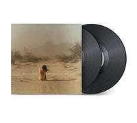 Diamonds On The Inside Vinyle