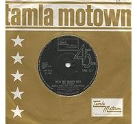 Diana Ross & The Supremes* - Someday We'll Be Together / He's My Sunny Boy - [7"]