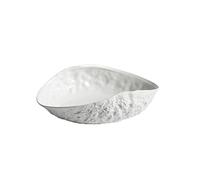DIANXI Assiette de Nouilles Assiette à Soupe Ovale à Motif de Roche, Blanc Pur, Minimaliste, Table de Cuisine, Assiette à dîner, Plat Principal en céramique, Vaisselle Assiettes empilables(A 12inch)