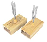Diapason 440 Hz avec Boîte de Résonateur en Bois, 2 Pièces, 6,5 x 16 mm, Instrument Expérimental de Physique