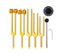 Diapason,Diapason 128hz Thérapeutique,Jeu de 5 diapasons (128HZ, 136.1HZ, 256HZ, 384 Hz, 512 Hz) idéal pour la thérapie, pour la thérapie des chakras,la ThéRapie par le Son, le Soulagement Stress