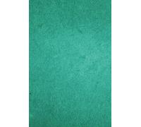 Diario color Verde de Inspiración y Creatividad: Encuentra tu Voz Interior, Libera tu Creatividad y Conecta con la Naturaleza de tus Pensamientos