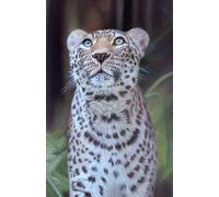 Diary 2025-2026 - Academic Diary Week to View A5 Leopard: September 25 to August 26 Mid Year Planner. 108 pages and glossy cover. Perfect gift for student or big cat lover