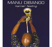 JSP Protection – Dibango Manu – Kamer Feeling