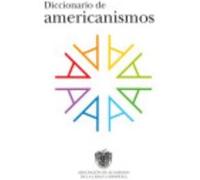 Diccionario De Americanismos - VV.AA. Vv Aa (Auteur)