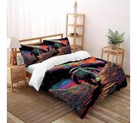 DICENOR Astronaut Cosmos Ensemble De Literie Astronaut Painting Housse De Couette À 3 Pièces Adulte Enfant -2 avec Taie d'oreiller(50 * 75) Double（200x200cm）