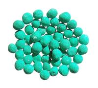 Dichondra Repens - Dichondra Repens - SEM14